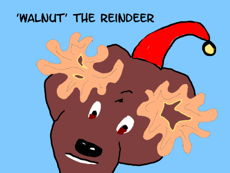 Walnut The Reindeer